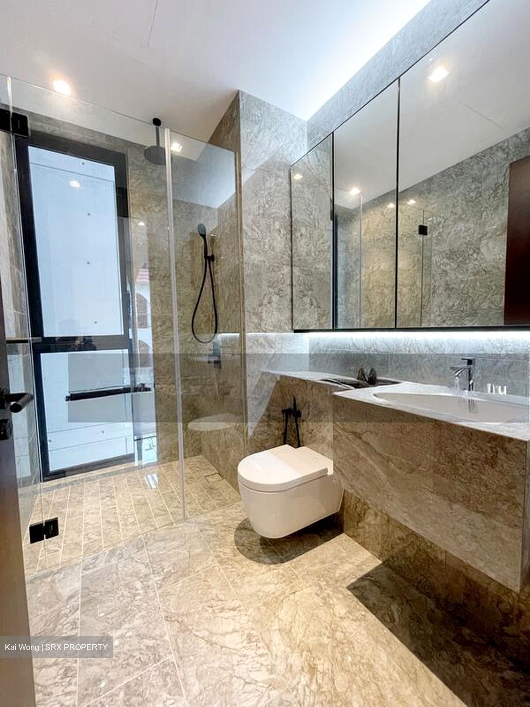 Jervois Privé (D10), Apartment #601356201